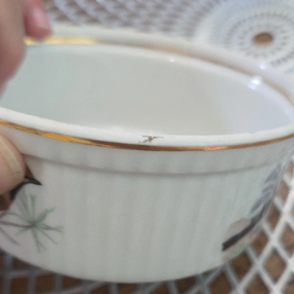 Elegant Bird Design Ceramic Bowl